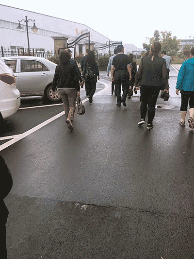 石家庄业主今日总部团购成交百万
