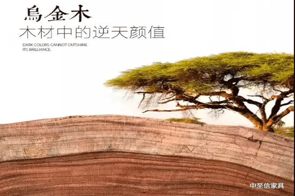传承“鲁班”工匠艺，腹有诗书气自华